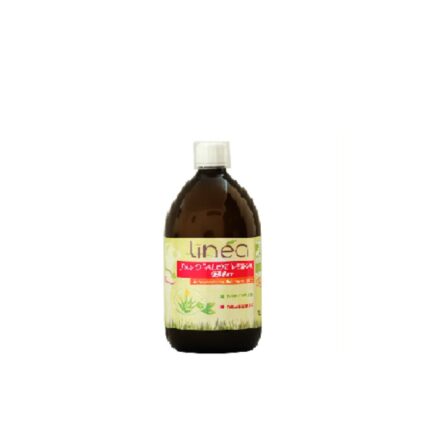 JUS D'ALEO VERA THE VERT 500ML